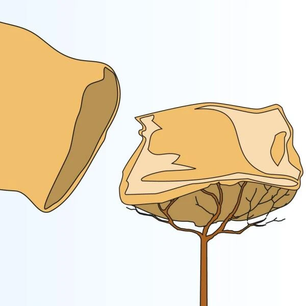 Jutezak - Grijs - 60 × 80 Cm 4 Jutezak - Grijs - 60 × 80 Cm - Afbeelding 2