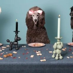 Kandelaar Fatboy® Can-Dolly - Design Antraciet 9 Kandelaar Fatboy® Can-Dolly - Design Antraciet -Tuingereedschap Winkel kandelaar fatboy candolly antraciet 1622464523 2 600