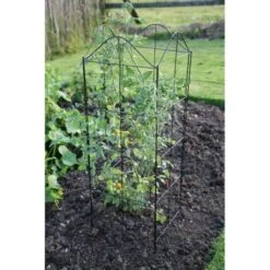 Klimplantensteun - Moduleerbare Steunpanelen -Tuingereedschap Winkel klimplantensteun rekken 1549797641 3 600