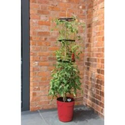 Tomatentoren Met Bewateringssysteem - 150 Cm 11 Tomatentoren Met Bewateringssysteem - 150 Cm -Tuingereedschap Winkel klimplantentoren met bewateringssysteem 1519074088 1 600