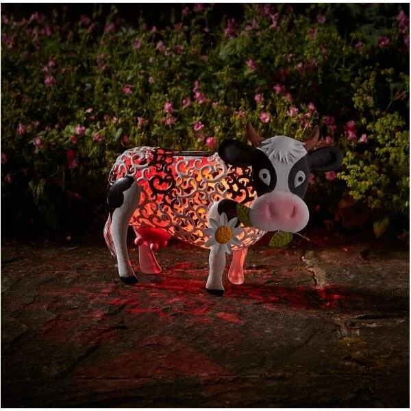 Koe Op Zonne-energie 5 Koe Op Zonne-energie - Afbeelding 3