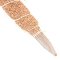 Kokos Kamerplantensteun - Plantstok Ø45 Mm × 0,6 M 5 Kokos Kamerplantensteun - Plantstok Ø45 Mm × 0,6 M -Tuingereedschap Winkel kokos plantstok 45 mm x 60 cm 1622717209 2 600