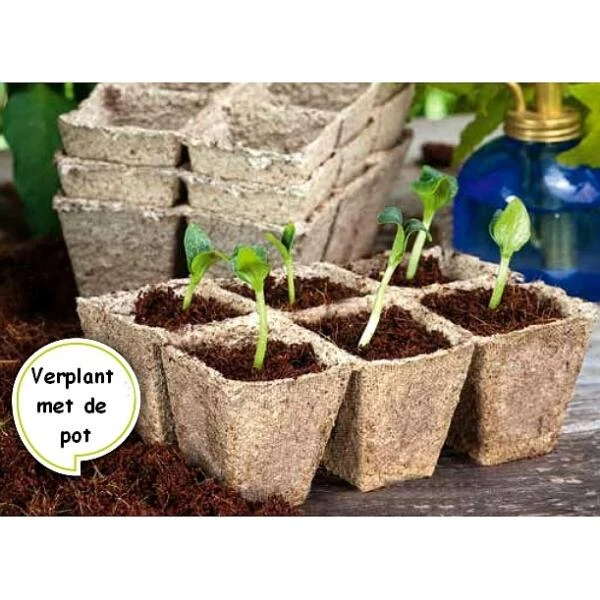 Vezelpotjes Vierkant Biologisch Afbreekbaar - 5 × 5 Cm - Set Van 36 Stuks 4 Vezelpotjes Vierkant Biologisch Afbreekbaar - 5 × 5 Cm - Set Van 36 Stuks - Afbeelding 2