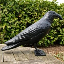 Duivenverjager Kraai Roepend 9 Duivenverjager Kraai Roepend -Tuingereedschap Winkel kraai met geluid 1523289337 4 600