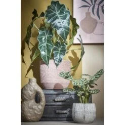 Tuingereedschap Winkel -Tuingereedschap Winkel kunstplant alocasia 50 x 30 cm 1633945376 1 600