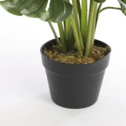 Kunstplant Monstera In Pot - 80 × 60 Cm -Tuingereedschap Winkel kunstplant monstera 80 x 60 cm 1633945632 3 600