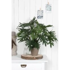 Tuingereedschap Winkel -Tuingereedschap Winkel kunstplant philodendron 40 x 50 cm 1633944227 1 600