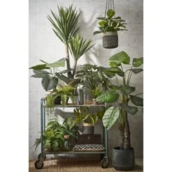 Kunstplant Philodendron In Pot - 80 × 60 Cm 9 Kunstplant Philodendron In Pot - 80 × 60 Cm -Tuingereedschap Winkel kunstplant philodendron 80 x 60 cm 1633945885 1 600