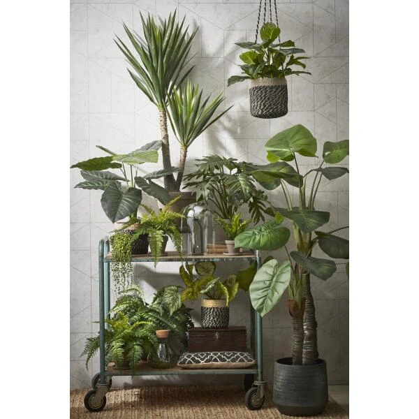 Kunstplant Philodendron In Pot - 80 × 60 Cm 6 Kunstplant Philodendron In Pot - 80 × 60 Cm - Afbeelding 4