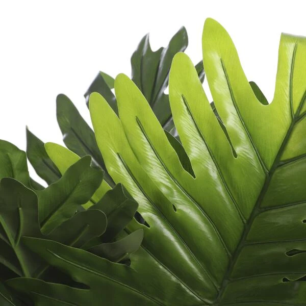 Kunstplant Philodendron In Pot - 80 × 60 Cm 4 Kunstplant Philodendron In Pot - 80 × 60 Cm - Afbeelding 2