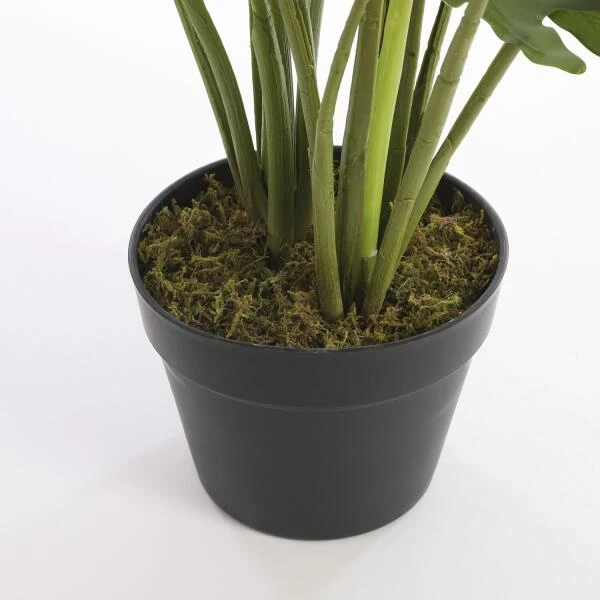 Kunstplant Philodendron In Pot - 80 × 60 Cm 5 Kunstplant Philodendron In Pot - 80 × 60 Cm - Afbeelding 3