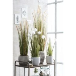 Kunstplant Pluimgras Dogtail In Pot - 45 × 120 Cm -Tuingereedschap Winkel kunstplant pluimgras 45 x 120 cm 1633958283 3 600