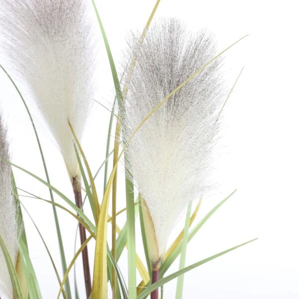 Kunstplant Pluimgras Foxtail In Pot - 45 × 80 Cm 7 Kunstplant Pluimgras Foxtail In Pot - 45 × 80 Cm - Afbeelding 5