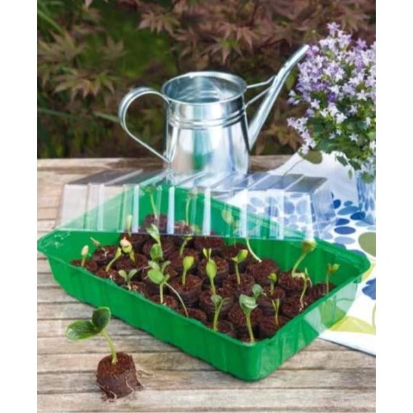 Kweekkas Met 24 Opkweekpotjes 4 Kweekkas Met 24 Opkweekpotjes - Afbeelding 2