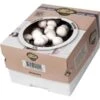 Kweekset 7,5 Liter Witte Champignons 1 Kweekset 7,5 Liter Witte Champignons -Tuingereedschap Winkel kweekset witte champignons 3 l 1486032924 0 600