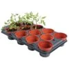 Tray Met 12 Ronde Potten Van 11 Cm -Tuingereedschap Winkel kweektray 12 potjes 11 cm 1484055981 1 600