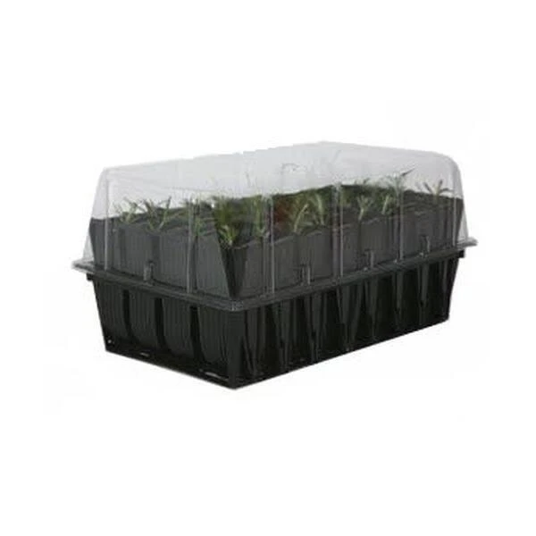 Kweektray Rapid Roots - 32 Cellen 7 Kweektray Rapid Roots - 32 Cellen - Afbeelding 5