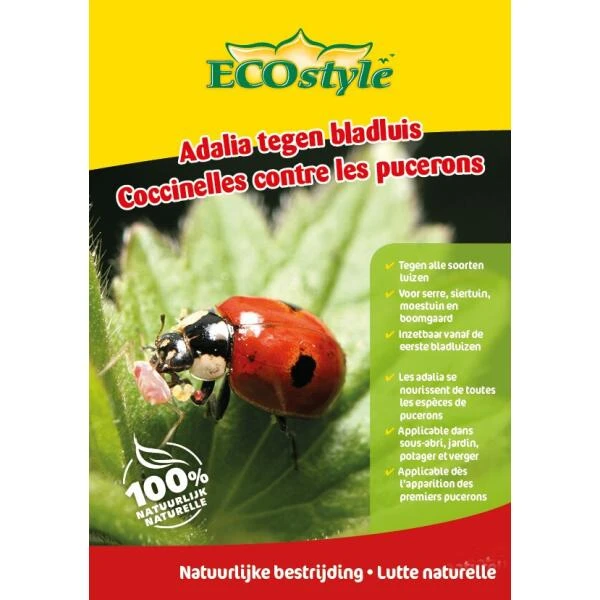 Ecostyle Lieveheersbeestjes Tegen Luizen - 50 Larven 3 Ecostyle Lieveheersbeestjes Tegen Luizen - 50 Larven