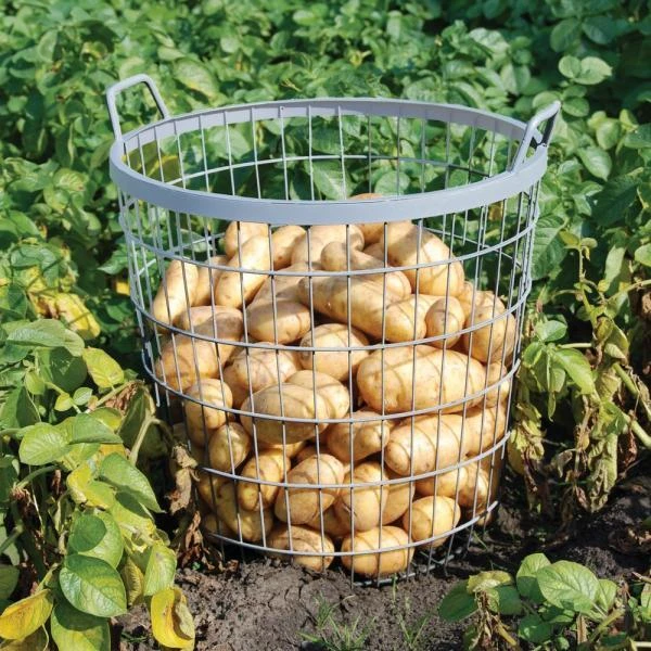 ESSCHERT DESIGN Metalen Oogstkorf - Aardappelmand 5 ESSCHERT DESIGN Metalen Oogstkorf - Aardappelmand - Afbeelding 3