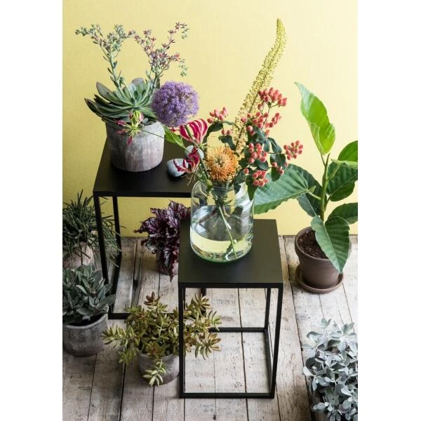 MICA Tafeltjes - H 55 En 48,5 Cm - Set Van 2 Stuks 5 MICA Tafeltjes - H 55 En 48,5 Cm - Set Van 2 Stuks - Afbeelding 3