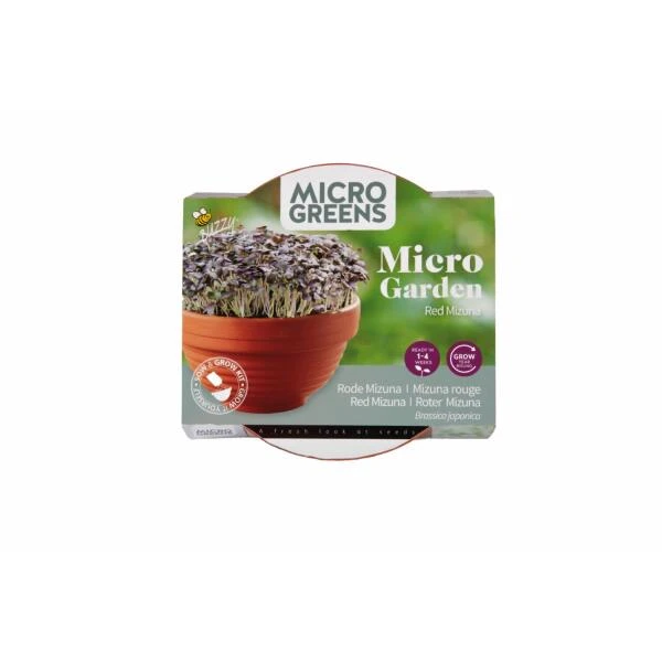Micro Garden Terracotta Rode Mizuna 3 Micro Garden Terracotta Rode Mizuna