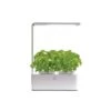 Mini Moestuin 'Jardin Secret' - 2 Potten -Tuingereedschap Winkel mini moestuin met licht 1586242558 1 600