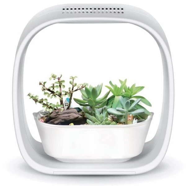 Mini Tuin 'Jardin Secret' - Ledverlichting 3 Mini Tuin 'Jardin Secret' - Ledverlichting