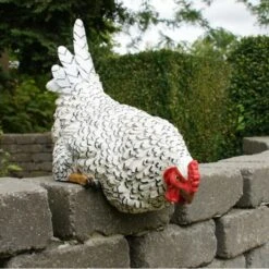 Nieuwsgierige Kip Tuinbeeld -Tuingereedschap Winkel nieuwsgierige tafelkip 1568377839 3 600