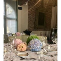 Oasis 'Ideal' Bal Ø 20 Cm 7 Oasis 'Ideal' Bal Ø 20 Cm -Tuingereedschap Winkel oasis ideal bal 20 cm 1584447525 3 600