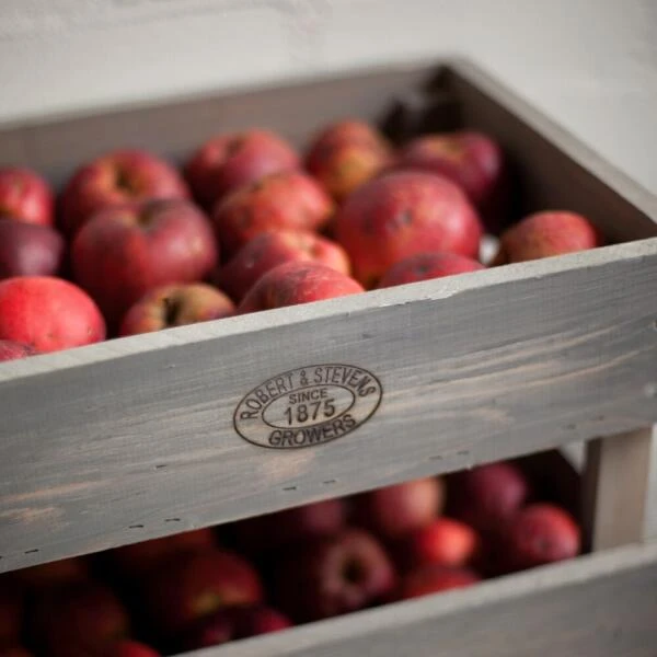 ESSCHERT DESIGN Opslag Krat Stapelbaar M - Set Van 1 Stuks 4 ESSCHERT DESIGN Opslag Krat Stapelbaar M - Set Van 1 Stuks - Afbeelding 2