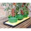 Plant- En Gietpot Groen - Set Van 3 Stuks -Tuingereedschap Winkel plant en gietpot 1484054799 1 600