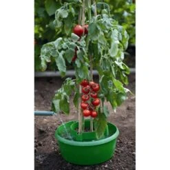 Plant- En Gietpot Groen - Set Van 3 Stuks 11 Plant- En Gietpot Groen - Set Van 3 Stuks -Tuingereedschap Winkel plant en gietpot 1484054799 4 600
