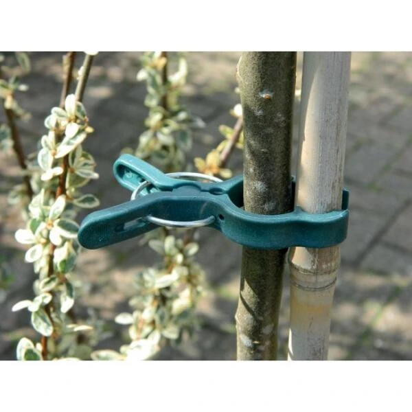 Plantenclips - Springclips Large - Set Van 5 Stuks 3 Plantenclips - Springclips Large - Set Van 5 Stuks