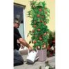 Plantentoren Maxitom Met Waterreservoir - Antraciet 2 Plantentoren Maxitom Met Waterreservoir - Antraciet -Tuingereedschap Winkel plantentoren maxitom antraciet 1677571235 1 600