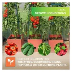 Plantentoren Maxitom Met Waterreservoir - Terracotta 12 Plantentoren Maxitom Met Waterreservoir - Terracotta -Tuingereedschap Winkel plantentoren maxitom terracotta 1677568602 1 600