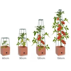 Plantentoren Maxitom Met Waterreservoir - Terracotta 13 Plantentoren Maxitom Met Waterreservoir - Terracotta -Tuingereedschap Winkel plantentoren maxitom terracotta 1680165024 1 600