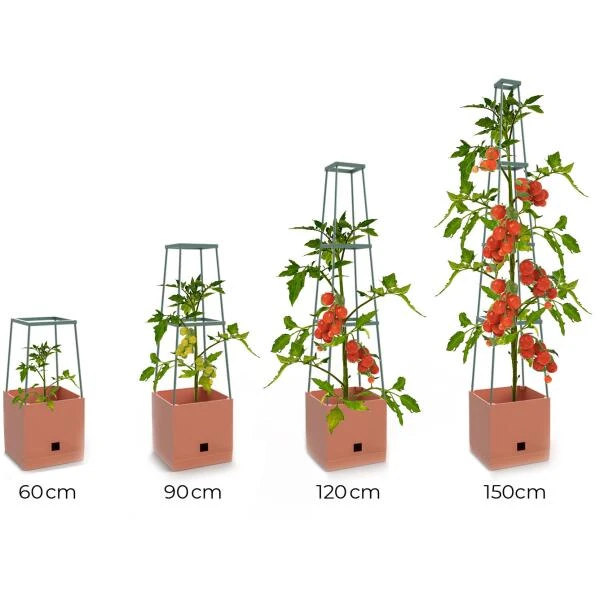 Plantentoren Maxitom Met Waterreservoir - Terracotta 8 Plantentoren Maxitom Met Waterreservoir - Terracotta - Afbeelding 6