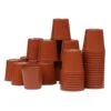 Kweekpotjes Rond Kunststof - 6 Cm - Set Van 40 Stuks 1 Kweekpotjes Rond Kunststof - 6 Cm - Set Van 40 Stuks -Tuingereedschap Winkel plastic potjes 6 cm 1484055450 1 600