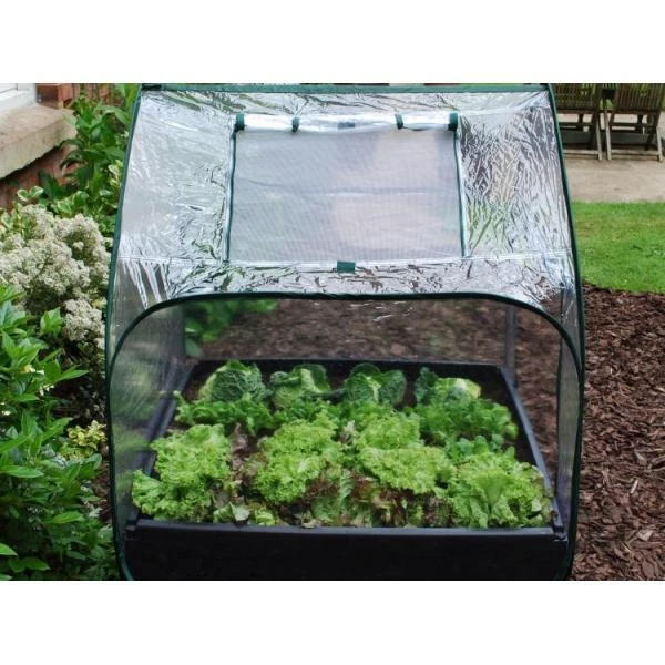 Pop-up Kas Met Folie Voor Groeibed 4 Pop-up Kas Met Folie Voor Groeibed - Afbeelding 2