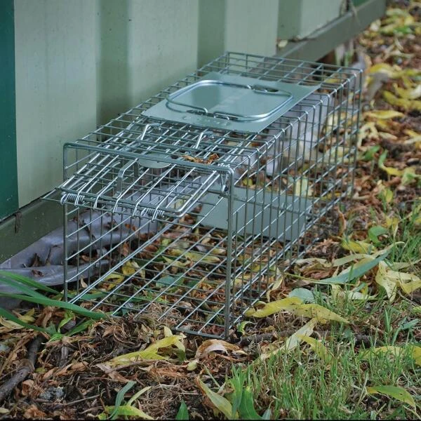 Professionele Vangkooi Voor Konijnen, Marters, Wilde Katten,...- Medium 4 Professionele Vangkooi Voor Konijnen, Marters, Wilde Katten,...- Medium - Afbeelding 2