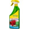 Ecostyle Pyrethro-Pur Gebruiksklare Bio-insecticide 750 Ml -Tuingereedschap Winkel pyrethro spray bio gebruiksklaar 750 ml 1484062765 1 600