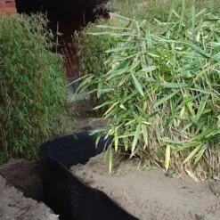 Rootblock Professionele Wortelwering 60 Cm Hoog - / Strekkende Meter -Tuingereedschap Winkel rootblock professionele wortelwering 1552733360 3 600