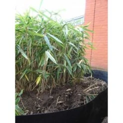 Rootblock Professionele Wortelwering 60 Cm Hoog - / Strekkende Meter -Tuingereedschap Winkel rootblock professionele wortelwering 1552733360 5 600