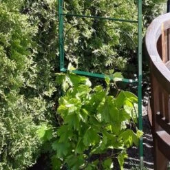 Rozenboog Massief Met Klimhulp 150 × 40 × 230 Cm -Tuingereedschap Winkel rozenboog massief klimhulp 150 x 40 x 230 cm 1559385625 1 600