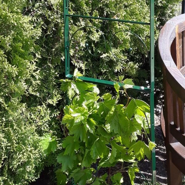 Rozenboog Massief Met Klimhulp 150 × 40 × 230 Cm - Afbeelding 3