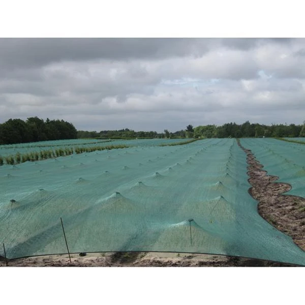 Schaduwnet Voor Zaaibedden 2 M × 2 M 3 Schaduwnet Voor Zaaibedden 2 M × 2 M