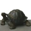 Reuzenschildpad - Miniatuur 2 Reuzenschildpad - Miniatuur -Tuingereedschap Winkel schildpad natuurgetrouw 1484055488 1 600