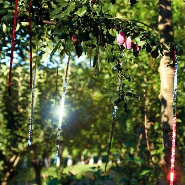 Schriklint Vogels Rood - 30 Meter 3 Schriklint Vogels Rood - 30 Meter