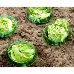 Slakken Beschermringen - Set Van 6 Stuks -Tuingereedschap Winkel slakken beschermingsringen 1484053655 2 600