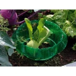 Slakken Beschermringen - Set Van 6 Stuks -Tuingereedschap Winkel slakken beschermingsringen 1484053655 3 600